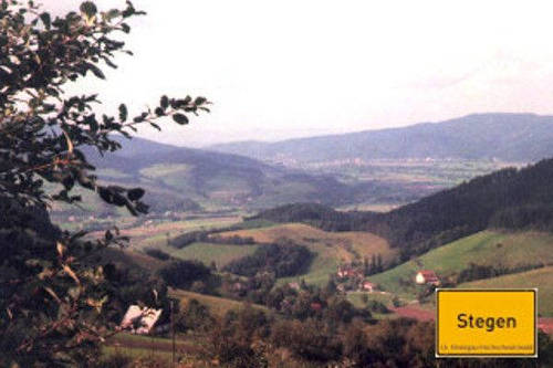 Blick vom Steurental zum Feldberg
